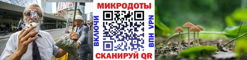Галлюциногенные грибы мицелий  Руза 